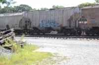 IMG_9856.JPG