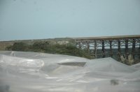 DSC_3553.JPG