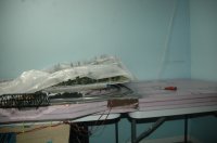 DSC_3556.JPG