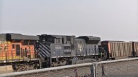 PIC_0358.JPG
