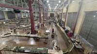 IMG_5763.jpeg