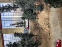 IMG_5798.jpeg