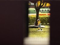 IMG_3680.jpg
