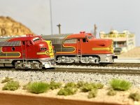 IMG_2737.jpeg