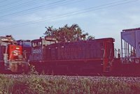 train (2).jpg