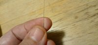 20240908_234536.jpg