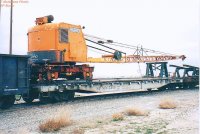 Burro 1.jpg