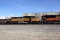 IMG_9182.JPG