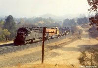SP Ribbon Rail train Woodford.jpg