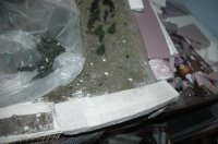 DSC_3595.JPG