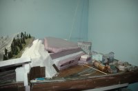 DSC_3603.JPG