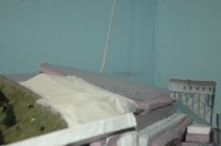 DSC_3604.JPG