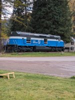 PXL_20241017_185222820.jpg