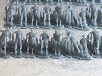 IMG_8875.jpeg