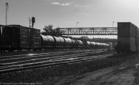 _MG_8824.jpg