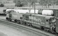 7877.jpg