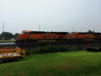 IMG_2157.JPG