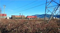 2406PGE-N2.jpg