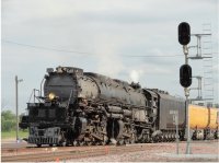 2421Trains.jpg