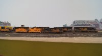 DSC01699.JPG