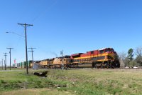 IMG_0962.JPG