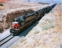 SP 8705-002.jpg
