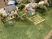 IMG_6232.jpeg