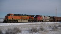 PIC_0273.JPG