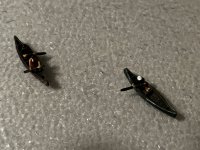 IMG_3958.jpg