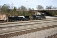 NS955.jpg