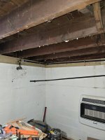 20250223_114750.jpg