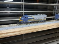 IMG_4816.jpeg