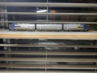 IMG_4818.jpeg
