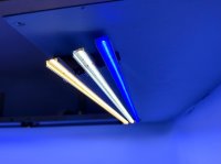 IMG_4450.JPG