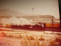 UP 8444 Green River b.jpg