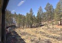 IMG_6509.JPG