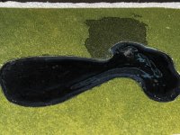 IMG_3976.jpg