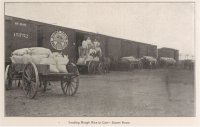 Loading Rice.jpg