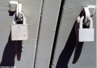 SPTCo lock.jpg