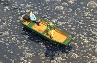 IMG_2795.jpeg