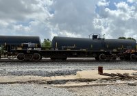 IMG_7502.JPG