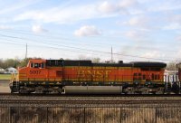 IMG_0937.JPG
