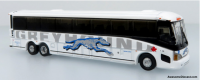 Greyhound Canadian.png