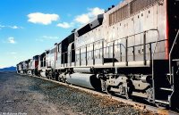 Mojave lineup.jpg