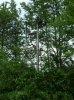 Trains 2009 017.jpg