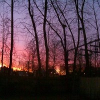 Over My Fence