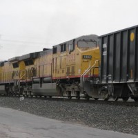 Waiting for the Rock Train