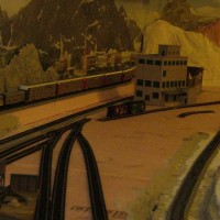 Yellow Bonnets with rack train