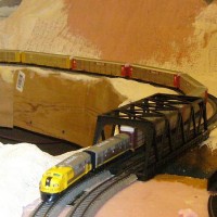 Yellow Bonnets with rack train
