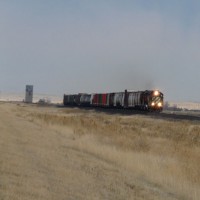 BNsf_7267_Comanche